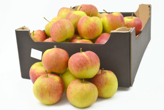 Яблоки Jonagold