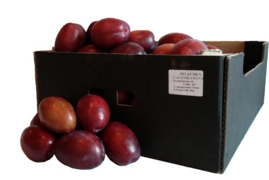 Śliwki Cacańska Rana
