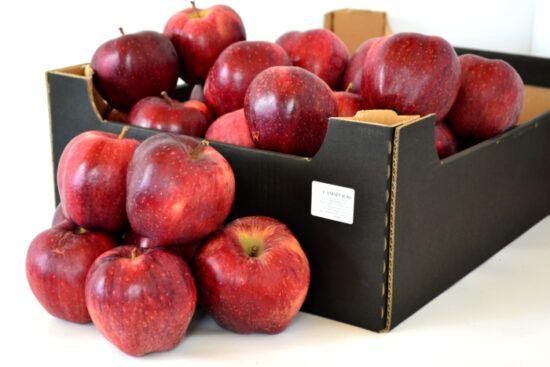 Jabłka Camspur