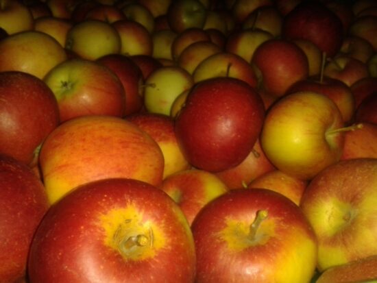 Jabłka Fiesta