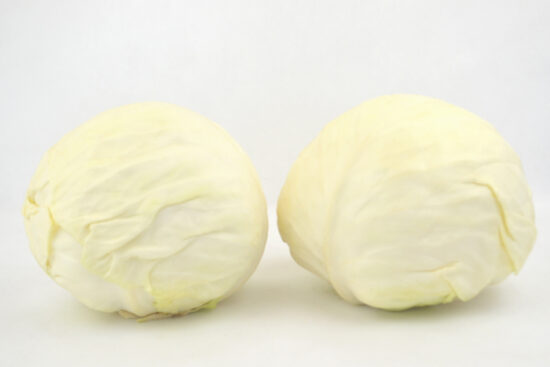 Kapusta biała Jaguar