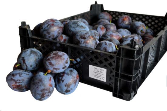 Śliwki Cacanska Najbolia