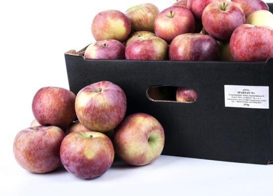 Jabłka Spartan