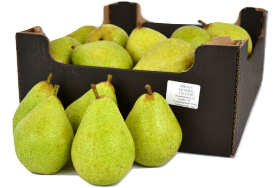 Gruszki Generał Leclerc