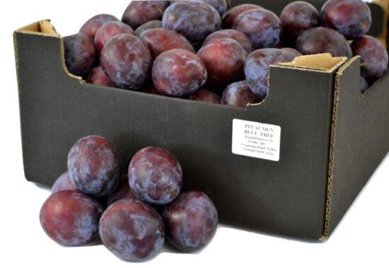 kupić w Polsce w dobrej cenie