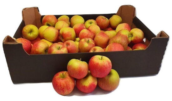 Яблоки Champion Reno