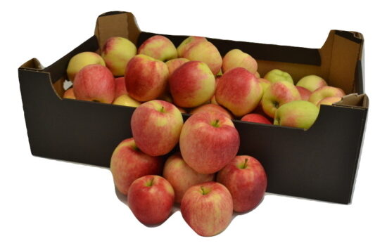 Jabłka Arszam (Nowe zbiory)