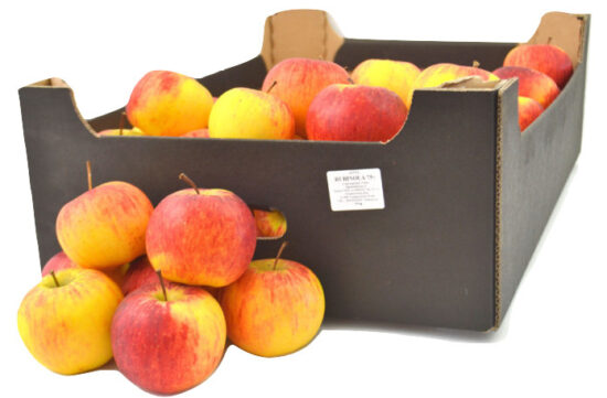 kupić w Polsce w dobrej cenie