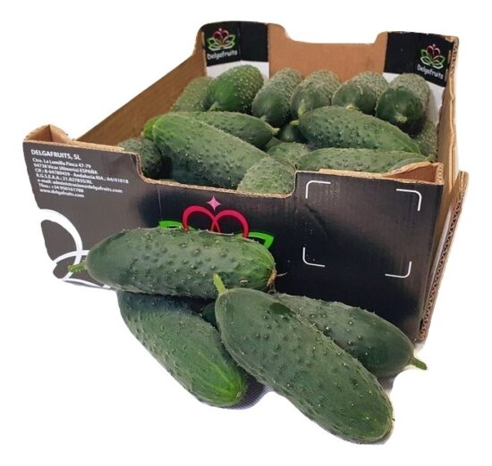 Ogórki krótkie (Hiszpania)