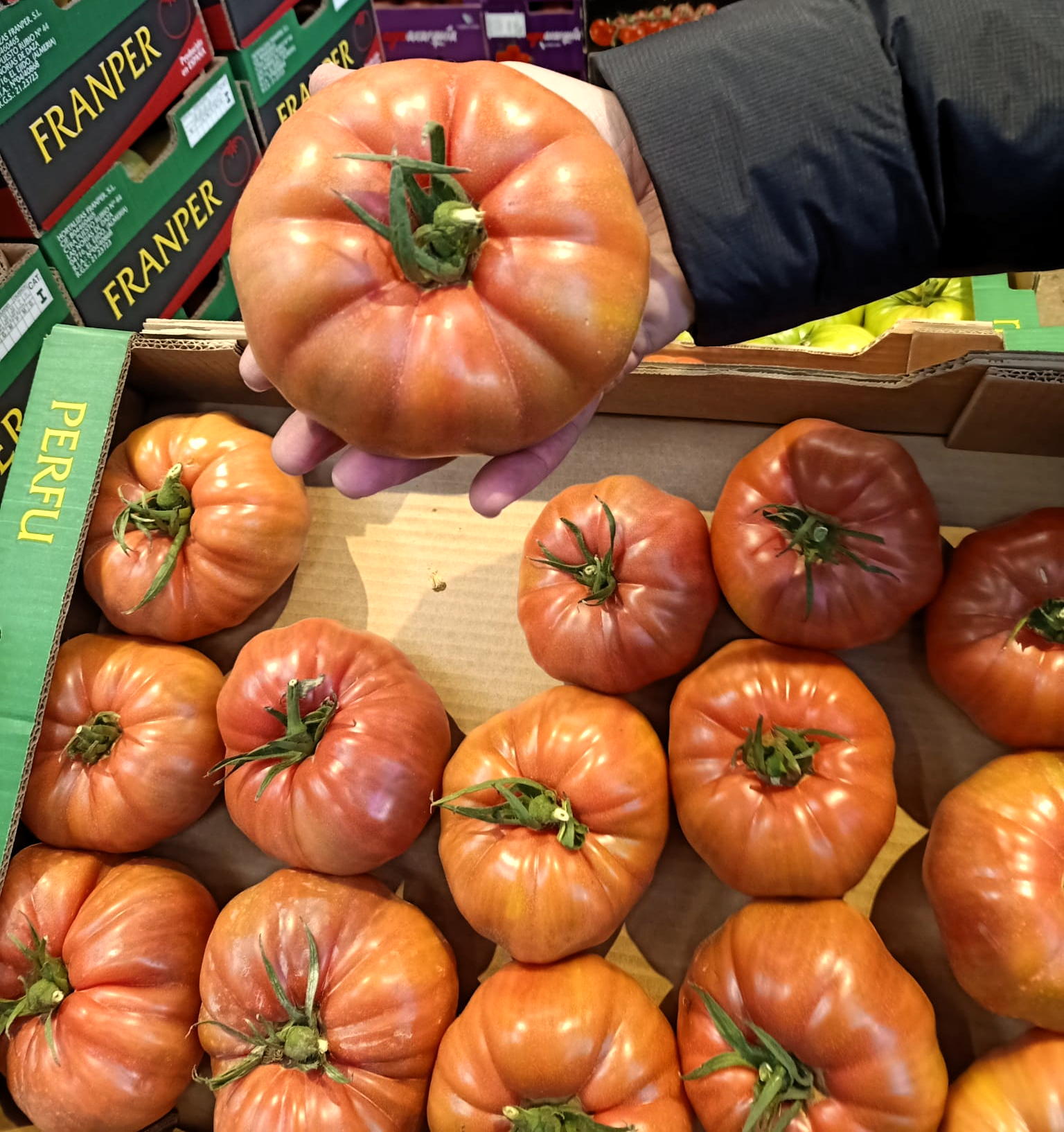 Pomidor malinowy duży
