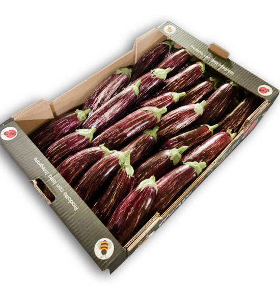 Bakłażaj Pink(graffiti)