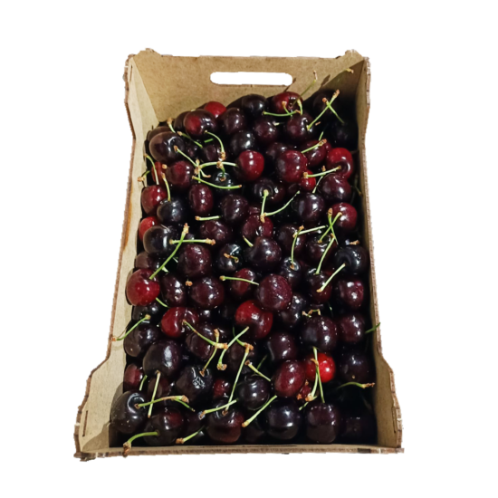 Czereśnia Hiszpania Lubmax