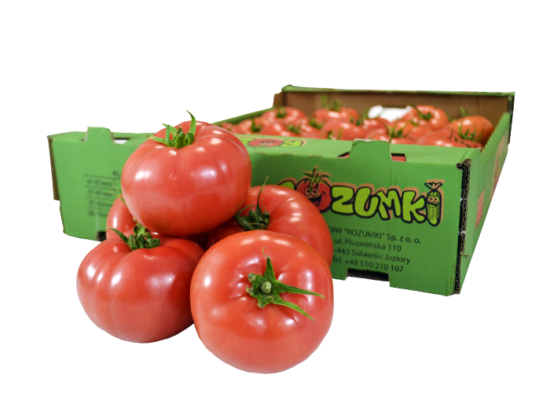 Pomidor Malinowy rozumki Lubmax