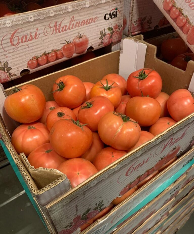 pomidor_casi_malinowy