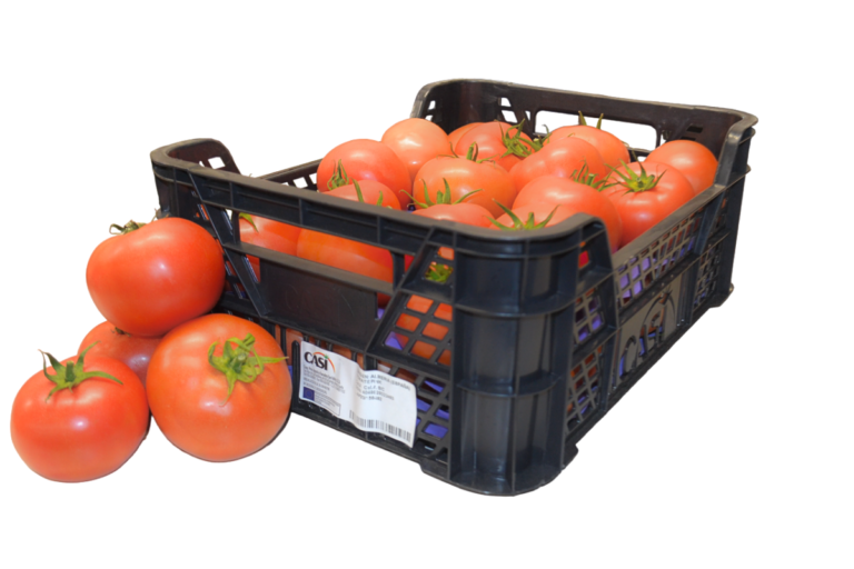 DSC_0517-PhotoRoom.png-PhotoRoom — Отредактировано