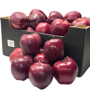 kuv_sfz_76-photoroom.png-photoroom-otredaktirovano