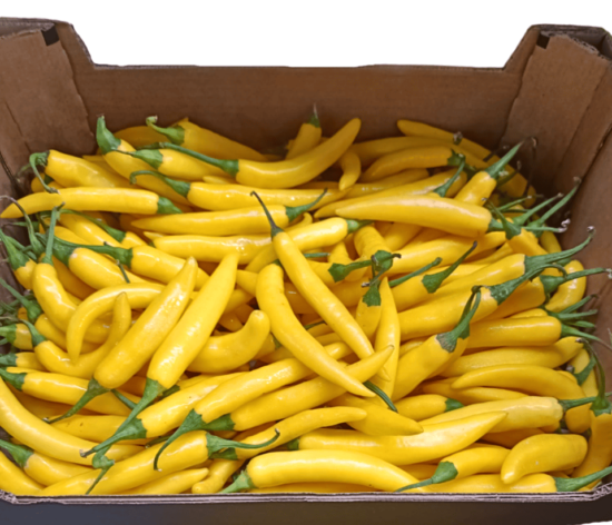 Papryka ostra zółta