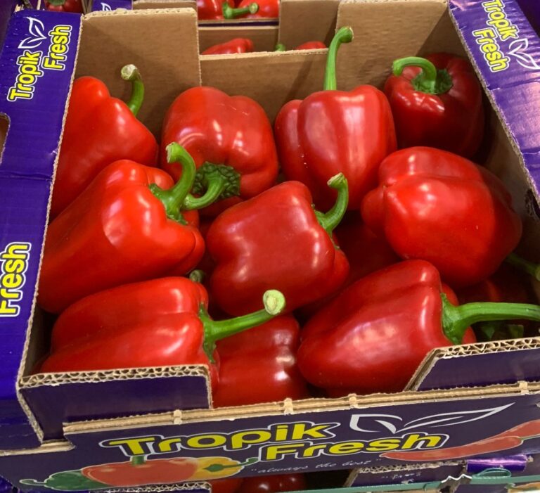 Zdjęcie WhatsApp 2024-01-26 o 08.22.07_05910113