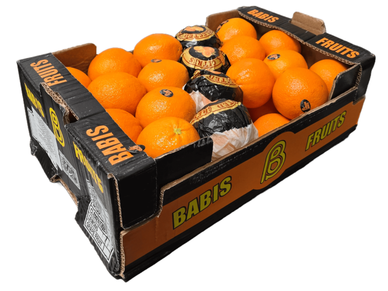 ee0dbfb9-9511-4aa0-8983-bf7e8b3ae934 (1) (1)