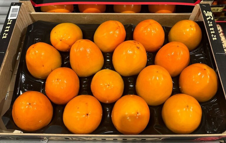 Zdjęcie WhatsApp 2025-11-02 o 20.06.02_ddc46f01